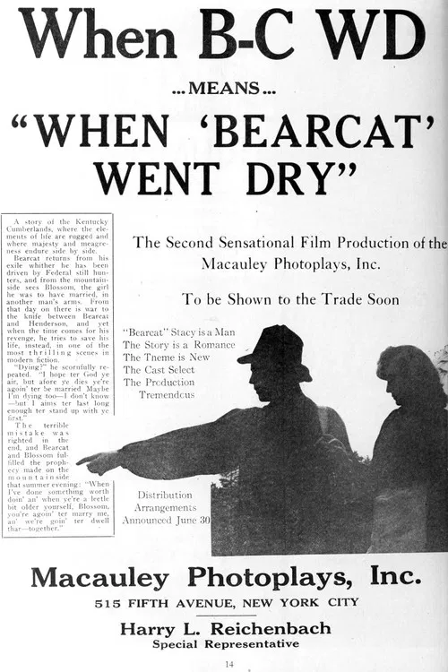 When Bearcat Went Dry (1919) poster