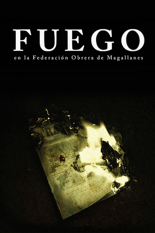 Fuego, en la Federación Obrera de Magallanes (2016) poster