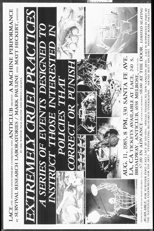 Extremely Cruel Practices: A Series of Events Designed to Instruct Those interested in Policies That Correct or Punish poster