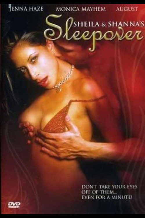 Sheila & Shanna's Sleepover (2006) poster