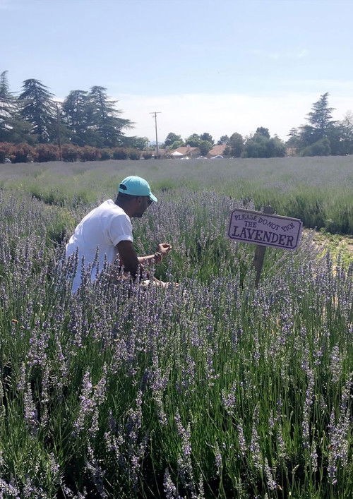 The Forfeiture Clause (2023) poster