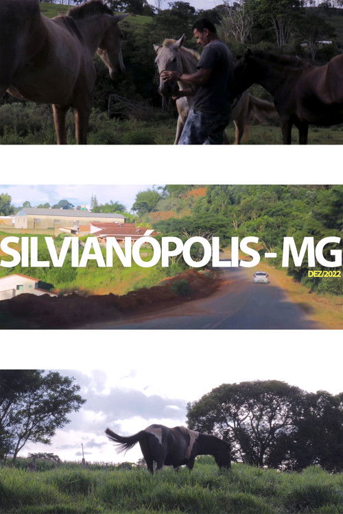 Silvianópolis poster
