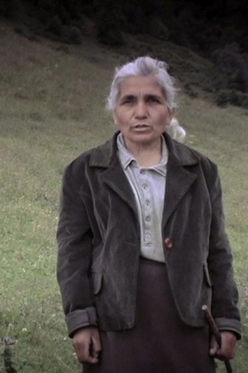 Prémonition (2013) poster