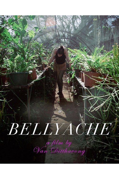 Bellyache (2026) poster