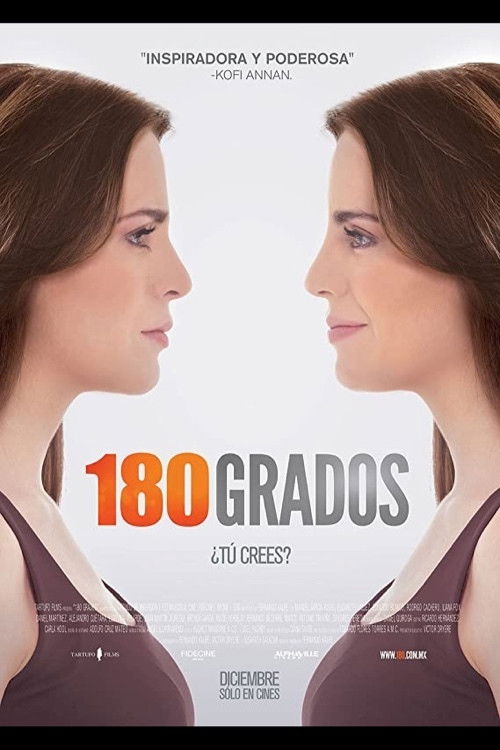 180º (2010) poster