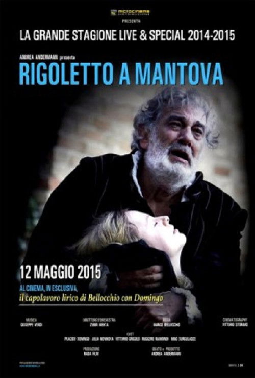 Rigoletto a Mantova (2010) poster