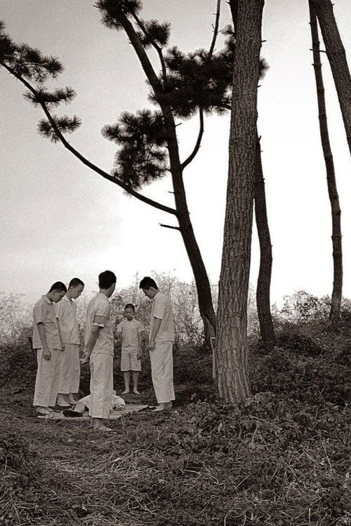 Children of Light (2023) poster