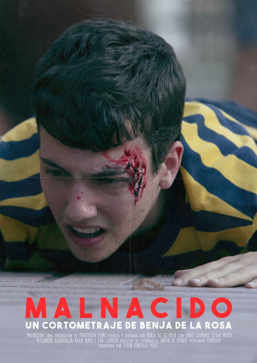 Malnacido (2018) poster