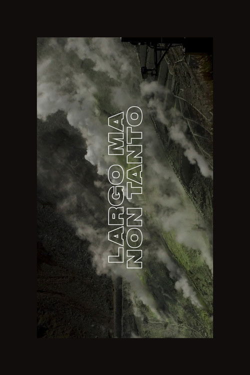 Largo Ma Non Tanto (2019) poster