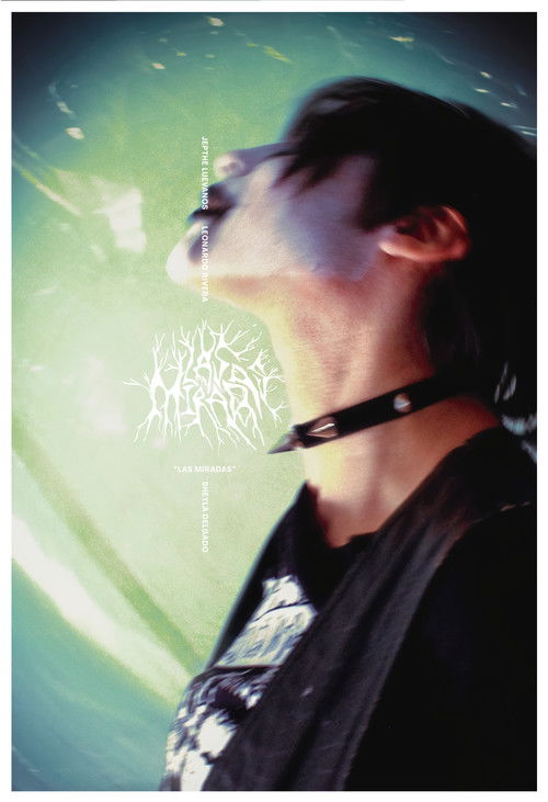 Las Miradas (2024) poster