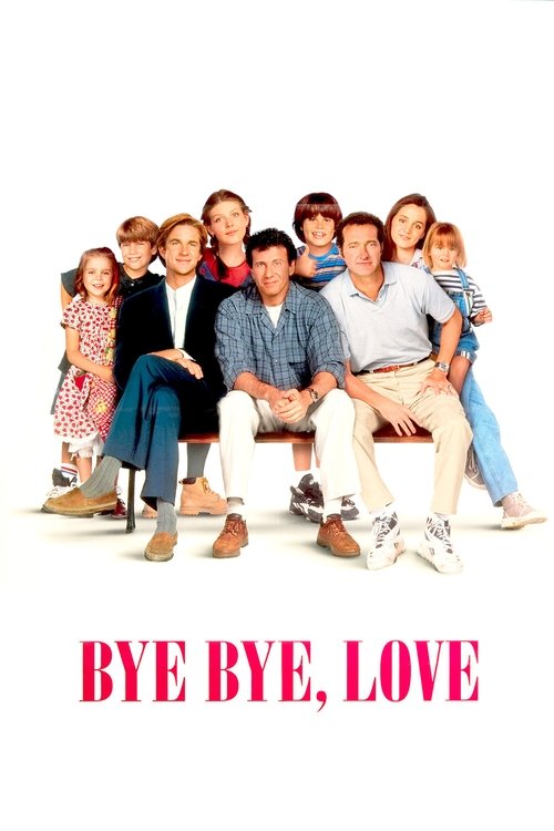 Bye Bye Love (1995) poster