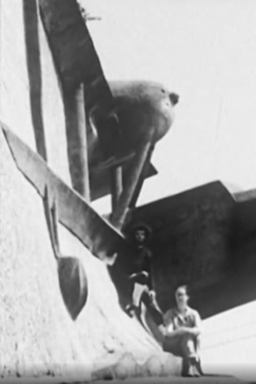 L'hydravion et Le Peintre (1980) poster