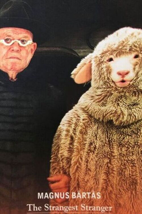 The Strangest Stranger (2017) poster