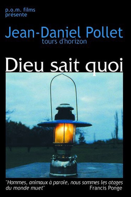 Dieu sait quoi (1994) poster