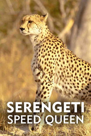 Serengeti Speed Queen (2020) poster