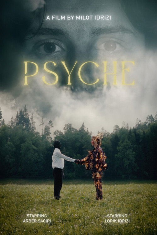 PSYCHE (2023) poster