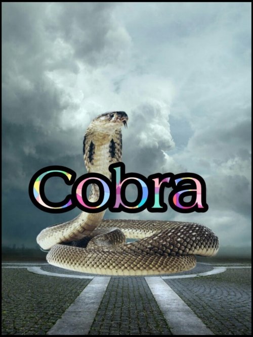 Cobra (1997) poster