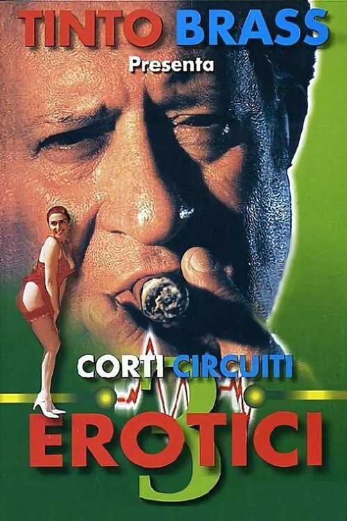 Erotik Kısa Öyküler Cilt 3 (1998) poster