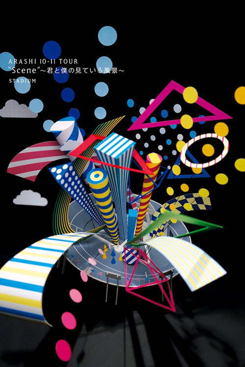 ARASHI 10-11 TOUR “Scene” ～君と僕の見ている風景～ STADIUM (2011) poster