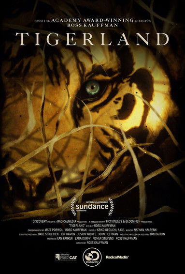 Tigerland (2019) poster