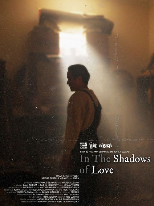 In The Shadows of Love (2024) poster