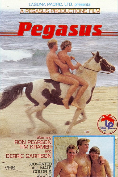 Pegasus (1983) poster