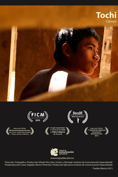 Rabbit (2013) poster