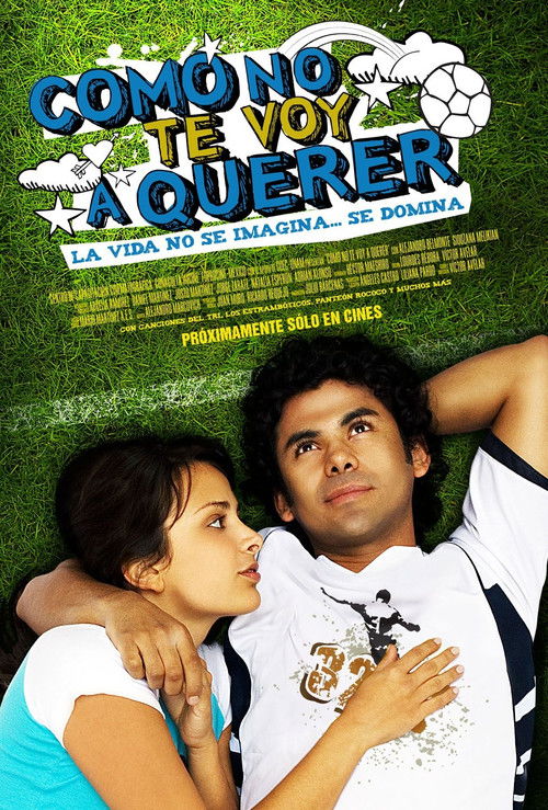 How Could I Not Love You? (2008) poster