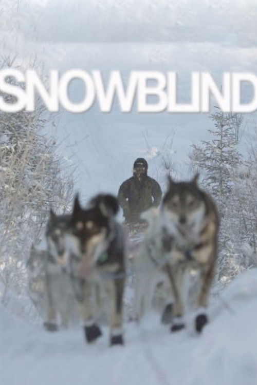 Snowblind (2009) poster