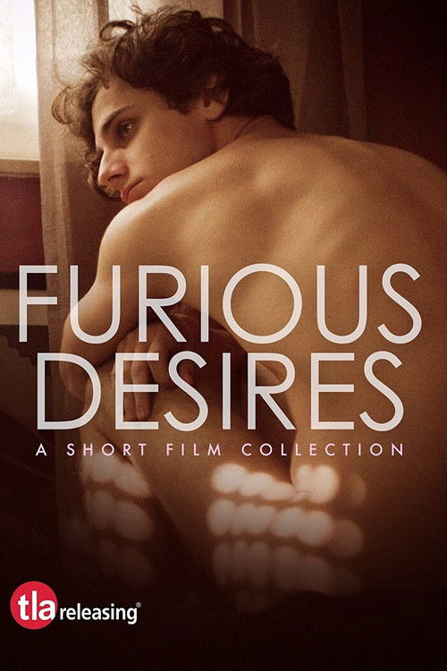 Furious Desires (2017) poster