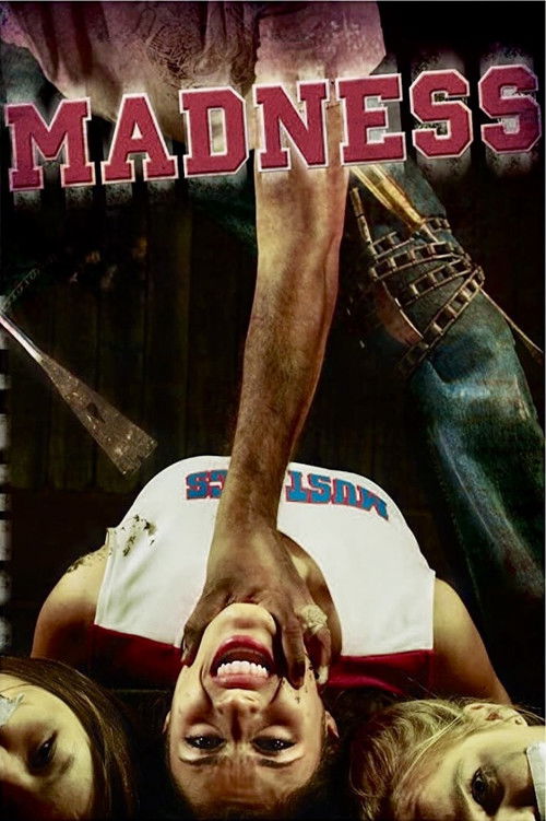 Madness (2010) poster