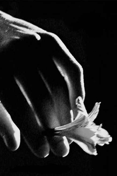 Son of the Preacher (2008) poster