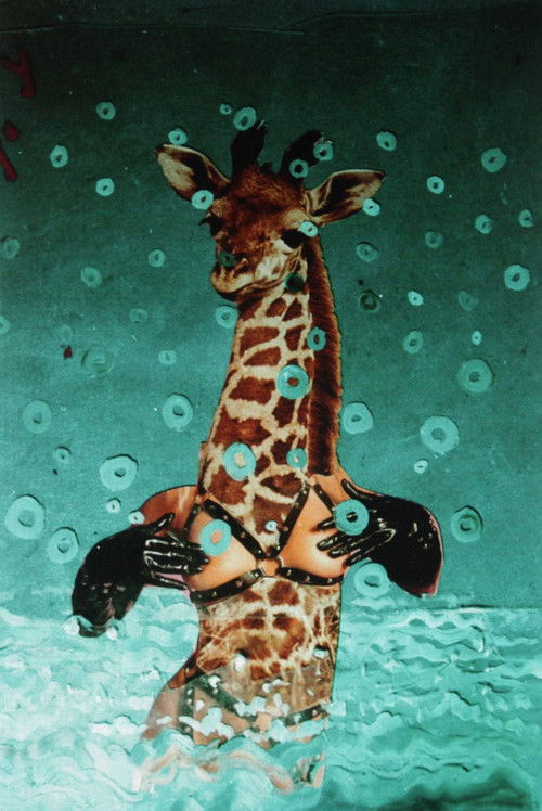 There's a Pervert in Our Pool! (1998) poster