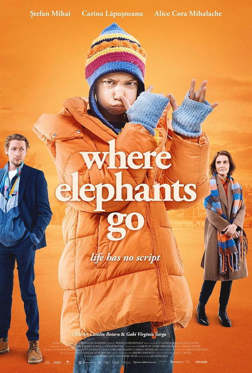 Where Elephants Go (2024) poster