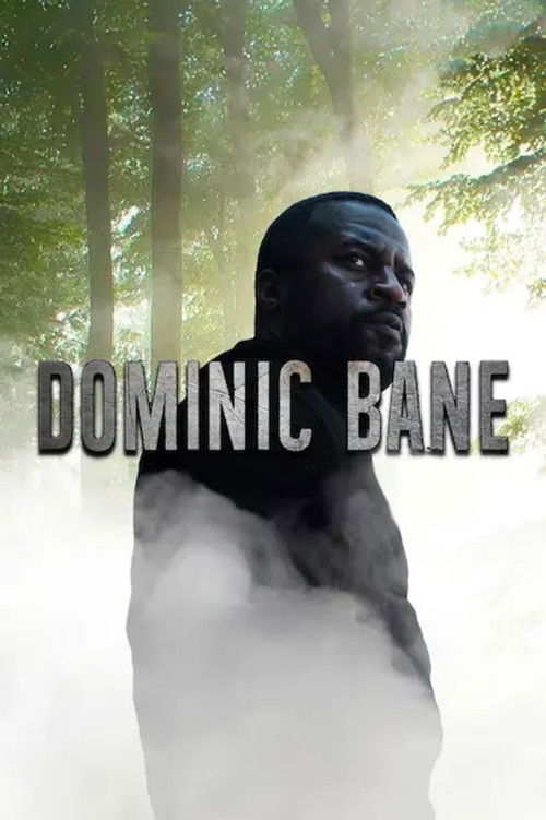 Dominic Bane (2024) poster