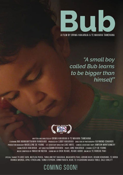 Bub (2019) poster