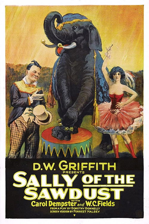 Sally of the Sawdust (1925) poster