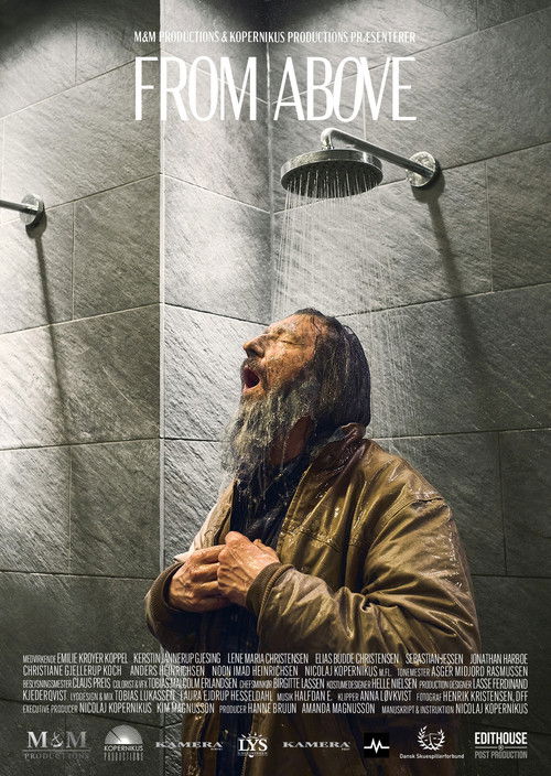 From Above (2023) poster