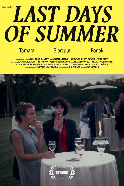 Last Days of Summer (2021) poster
