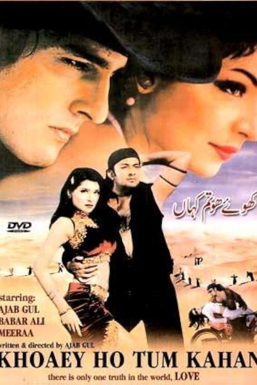 Khoey Ho Tum Kahan (2001) poster