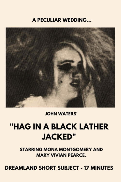 Hag in a Black Leather Jacket (1964) poster