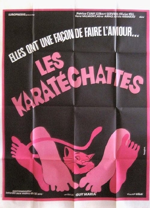 Les pornochattes (1975) poster