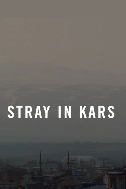 Stray in Kars (2022) poster