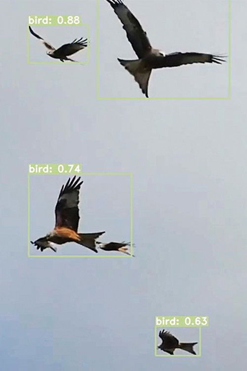 Nearest Neighbor (2023) poster