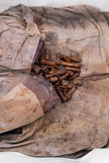 Exhumator (2024) poster