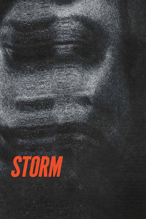 Storm (2023) poster