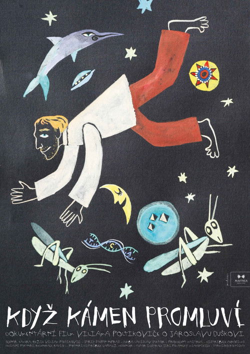 Když kámen promluví (2011) poster