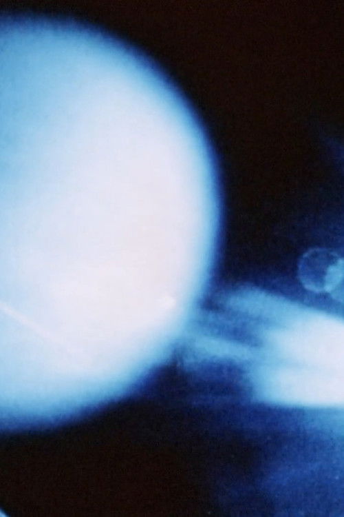 Zooscopie (2012) poster