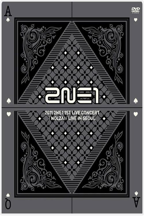 2NE1: 1st Live Concert NOLZA (2011) poster