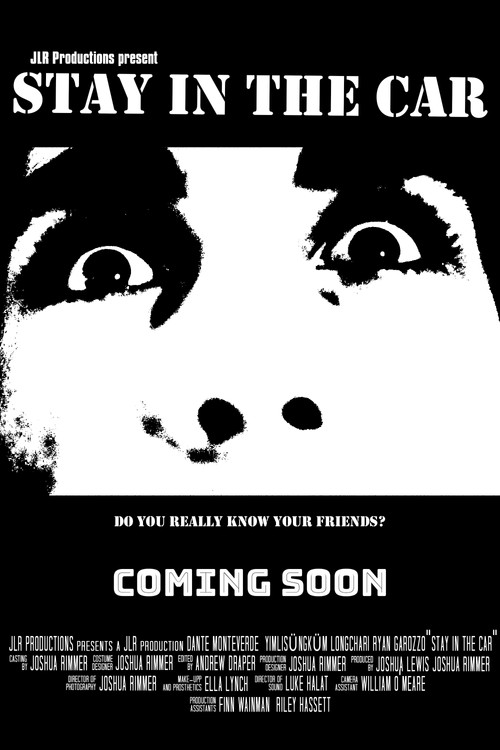 Stay in the Car (2024) poster